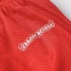 CHRM HRTS Shorts Matty Boy Team Warm Up Jersey