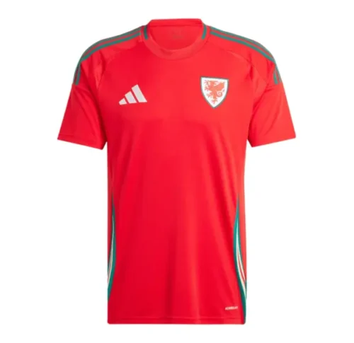 Camiseta Gales Eurocopa 2024 1ª equipación
