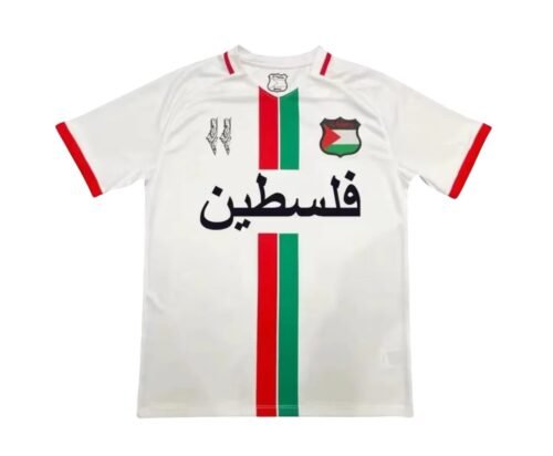 Camiseta Palestina Concepto