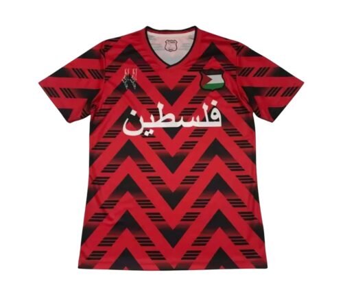 Camiseta Palestina Concepto