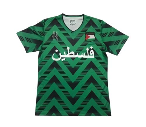 Camiseta Palestina Concepto