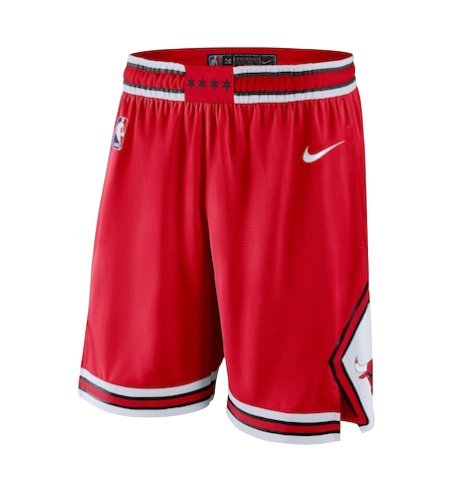 Pantalón Corto Chicago Bulls Icon 24/25