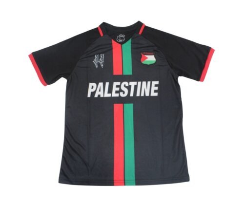 Camiseta Palestina Concepto