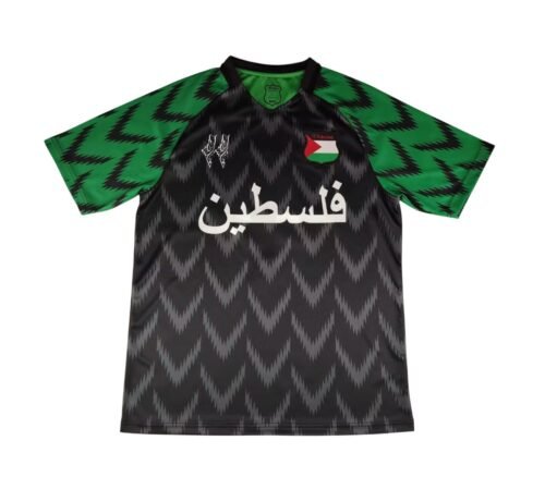 Camiseta Palestina Concepto