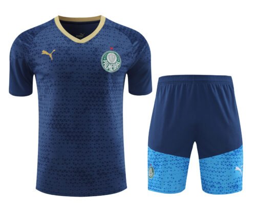 Conjunto de calentamiento Palmeiras azul oscuro