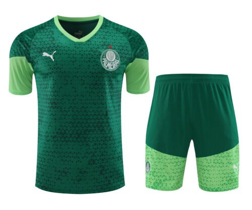 Conjunto de calentamiento Palmeiras verde oscuro