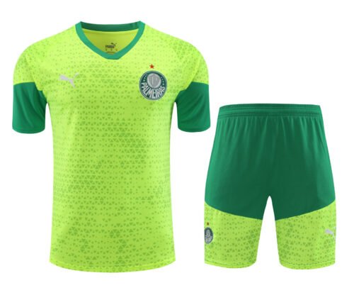 Conjunto de calentamiento Palmeiras verde claro